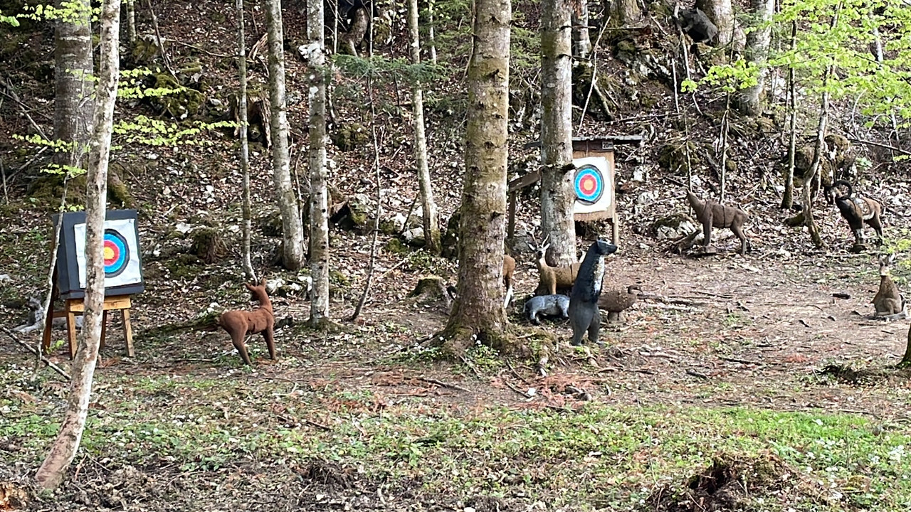 78CB7261-6E2E-4E9A-8E65-9D8081F39DE4