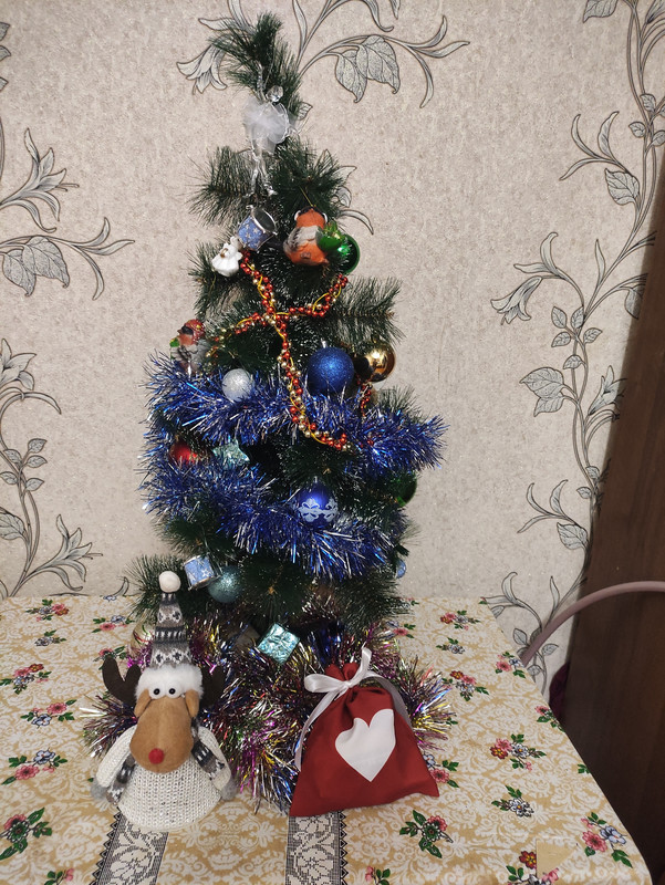 IMG-20231216-214011-1.jpg