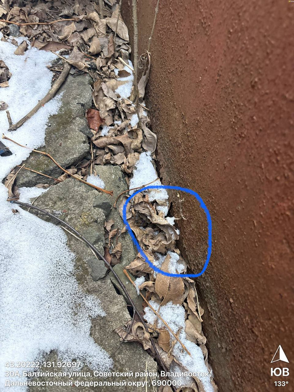 5915618998 AQADVAxr G6Vs CUt