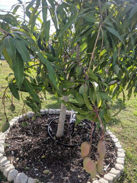 [Image: IMG-20190425-172952.jpg]