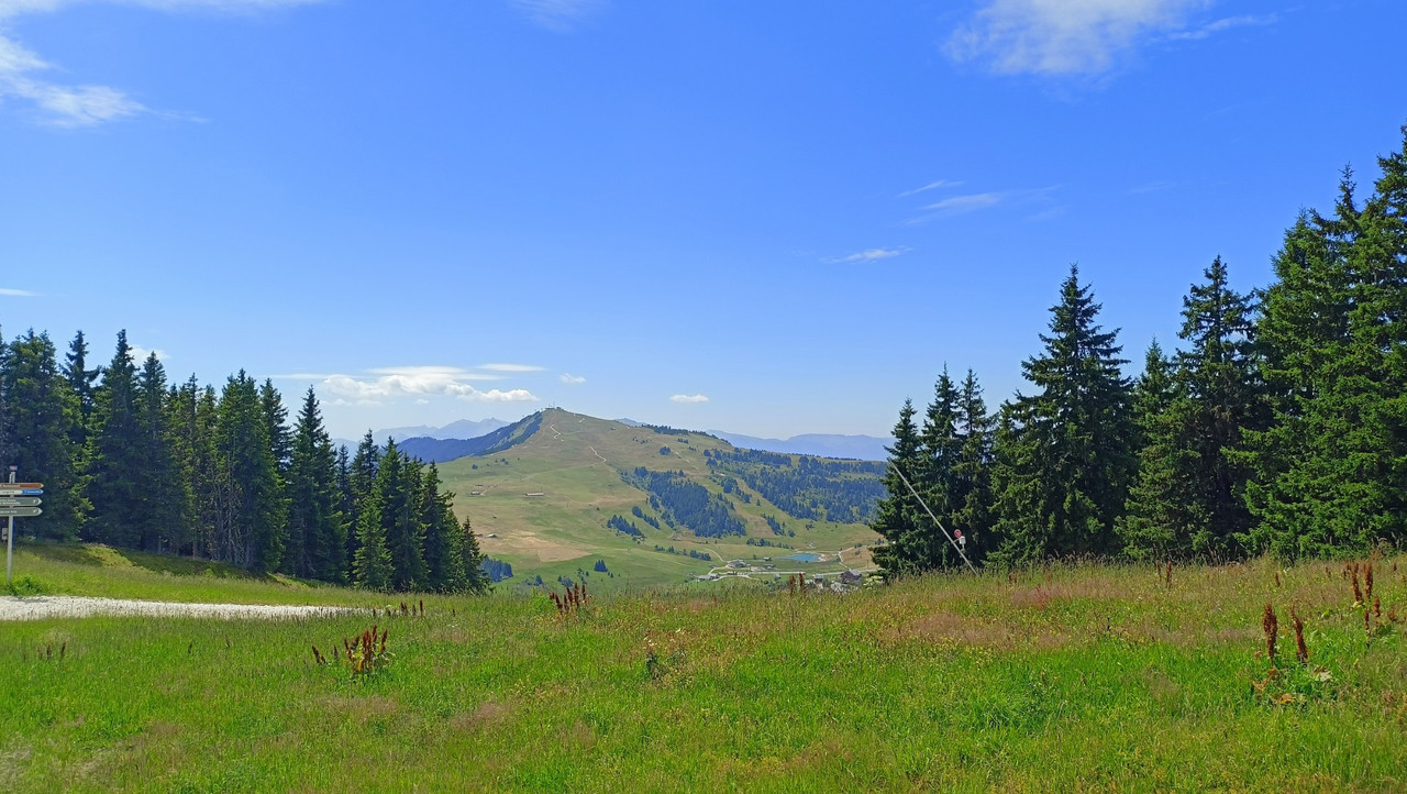 IMG20250716145654 (Large)