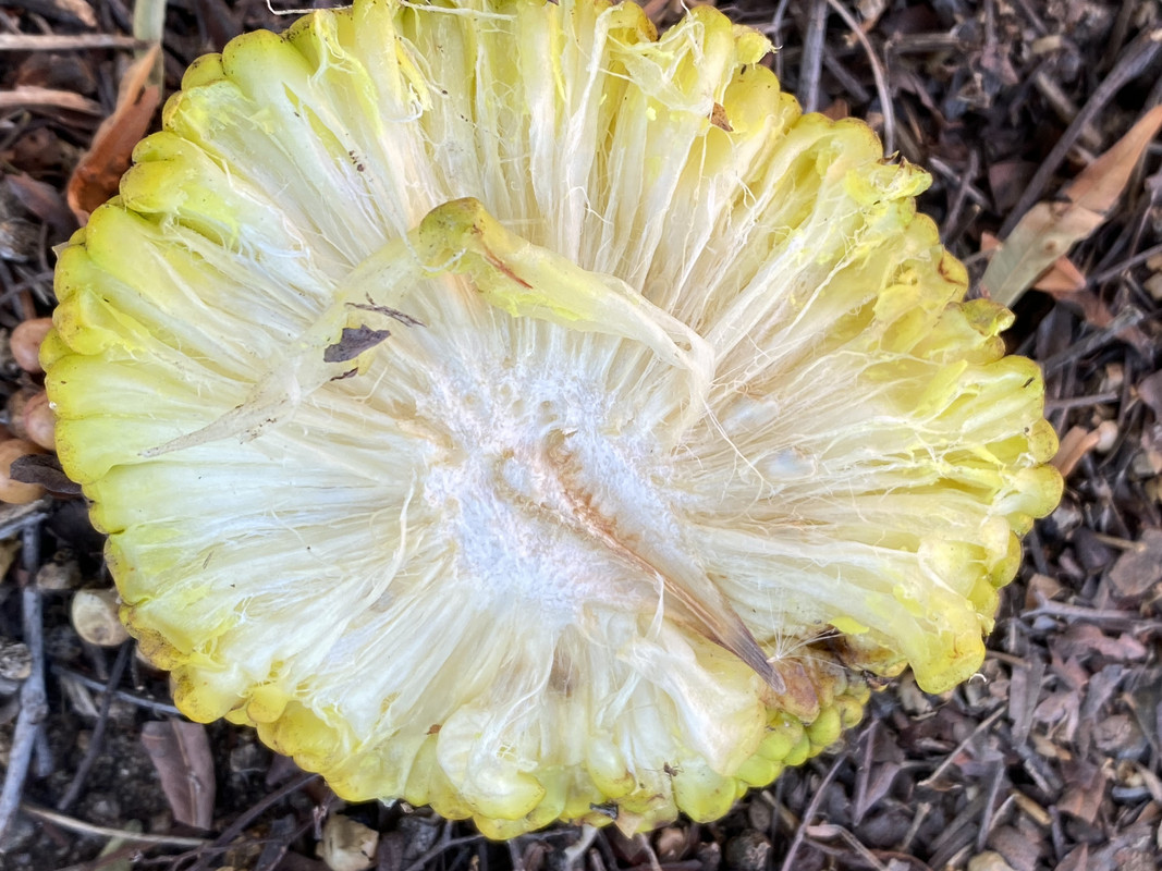 24A41335-2509-4E98-A1C5-7E65FFE94EA9