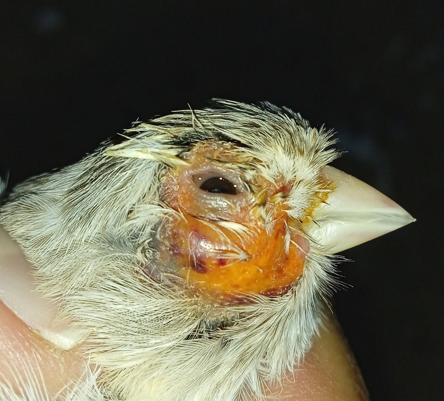 IMG_٢٠٢٥٠٩٢٥_٠١٤٤٠١