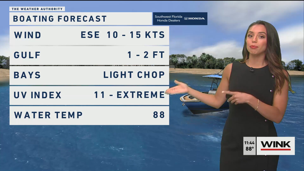 WINK News at 11 30 a.m. Sunday 2022_07_24_16_30_00.ts_snapshot_17.22.276