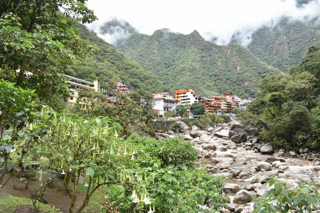 Día 14. Machu Picchu por libre - 3 SEMANAS EN PERÚ del Amazonas a Machu Picchu 2019 (15)