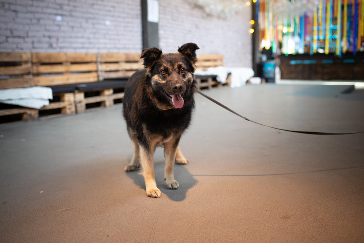 GrGeM_29ruSdQg2wW8xtvQJbV6O05toRc-o1aG0qHQWqtrTRIhpZwtJapndsrQN5qSUwEjIu9zZvisMvCy2Th6a3