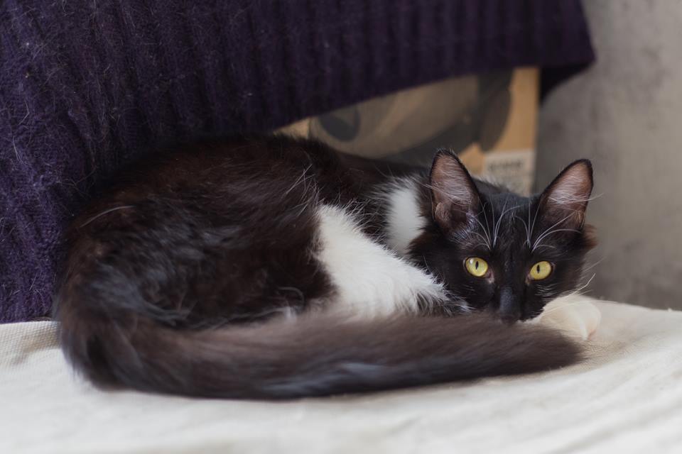 35548112_996034267216936_6131840382327062528_n