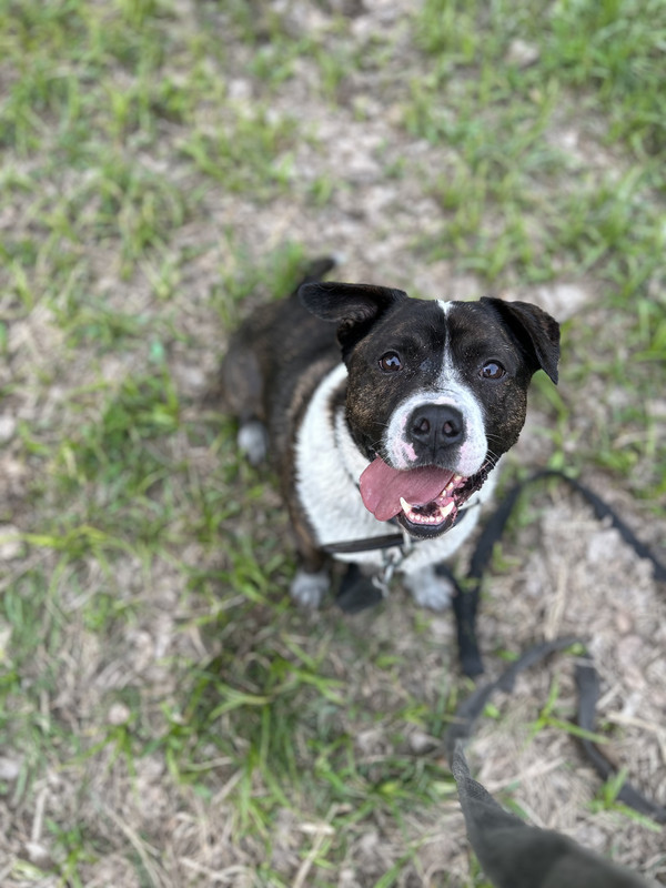 8D0F3F3B-20AB-4638-9675-E599D314FFF5