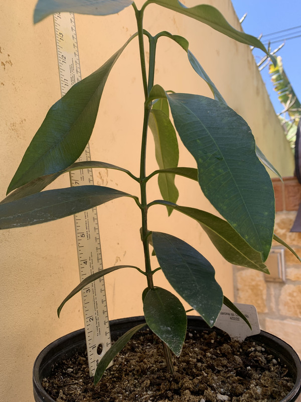 A617F33E-8442-4C0D-8DF4-CC74341671C8