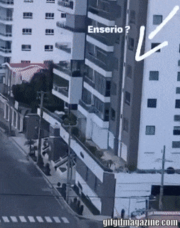https://i.postimg.cc/3J9hP5Jw/2.gif