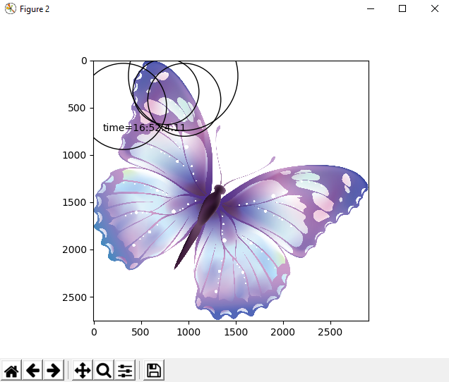 [Image: butterfly.png]