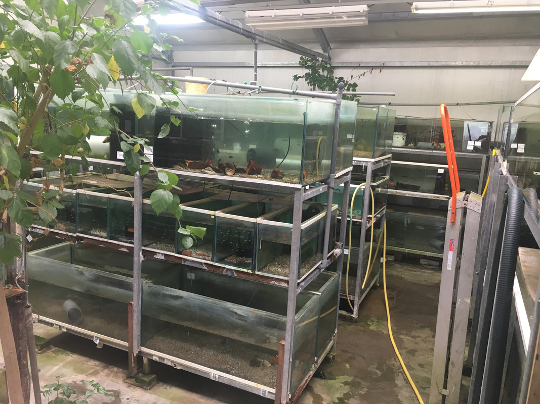 98A0A3D6-0DBB-4872-BAE6-37BC3F68D02A