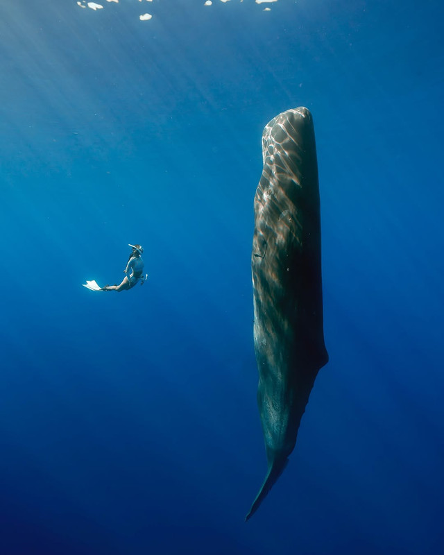 572626551 17973882803948130 5795431019825510726 n