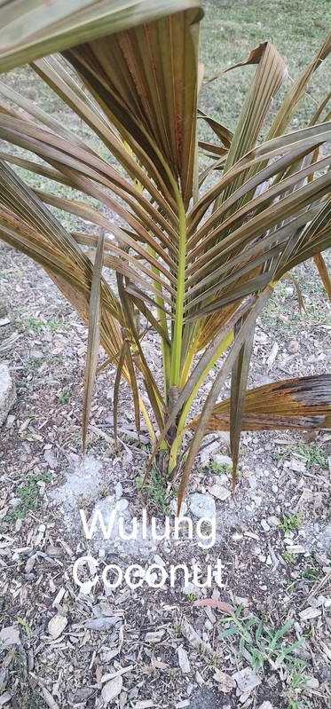 att r LJxgm Tgf5cp Fjs Yuh Vnd RQjse0a Azxs R4GFk77n2M