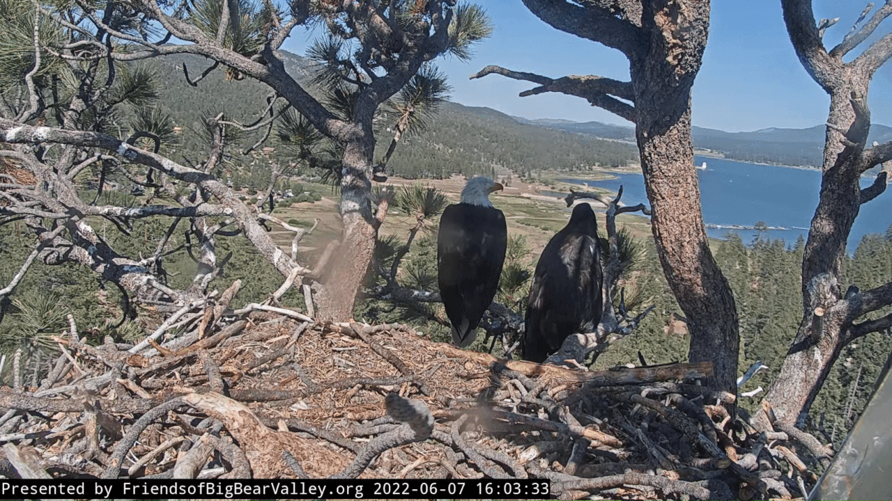 Webp.net-gifmaker (3)