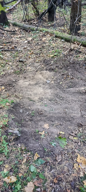 IMG_20251003_070005_074