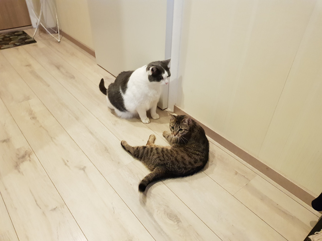 20190430-055426.jpg