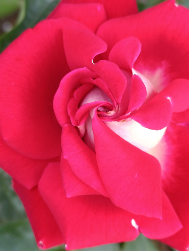 IMG_20250609_124102