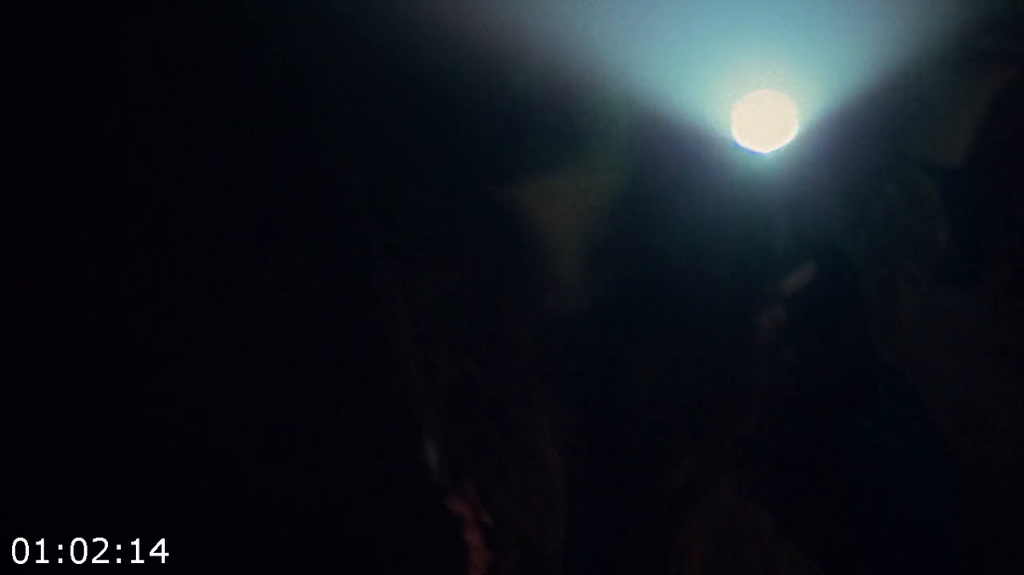 [Kép: Blood-Barn-2025-720p-WEBrip-x264-AAC.png]