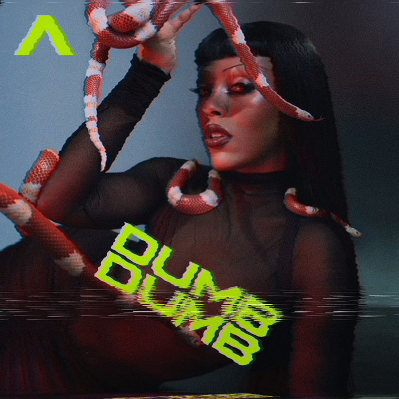Dumb Dumb