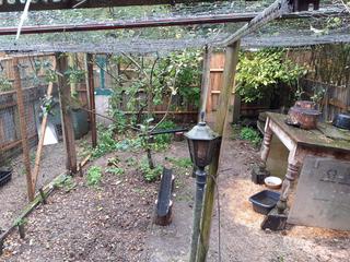 Fences-053jpg