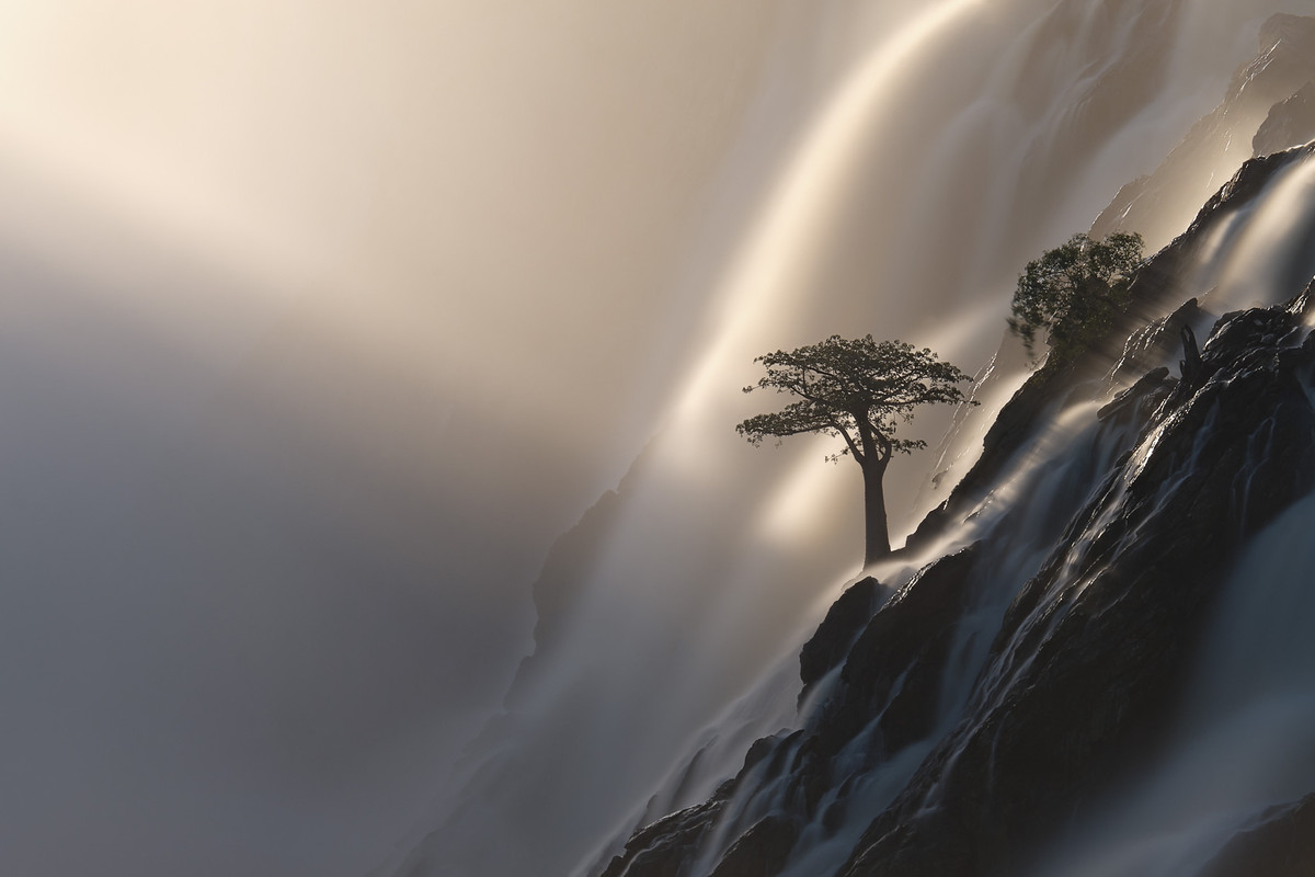 baobab-tree-between-waterfall.jpg