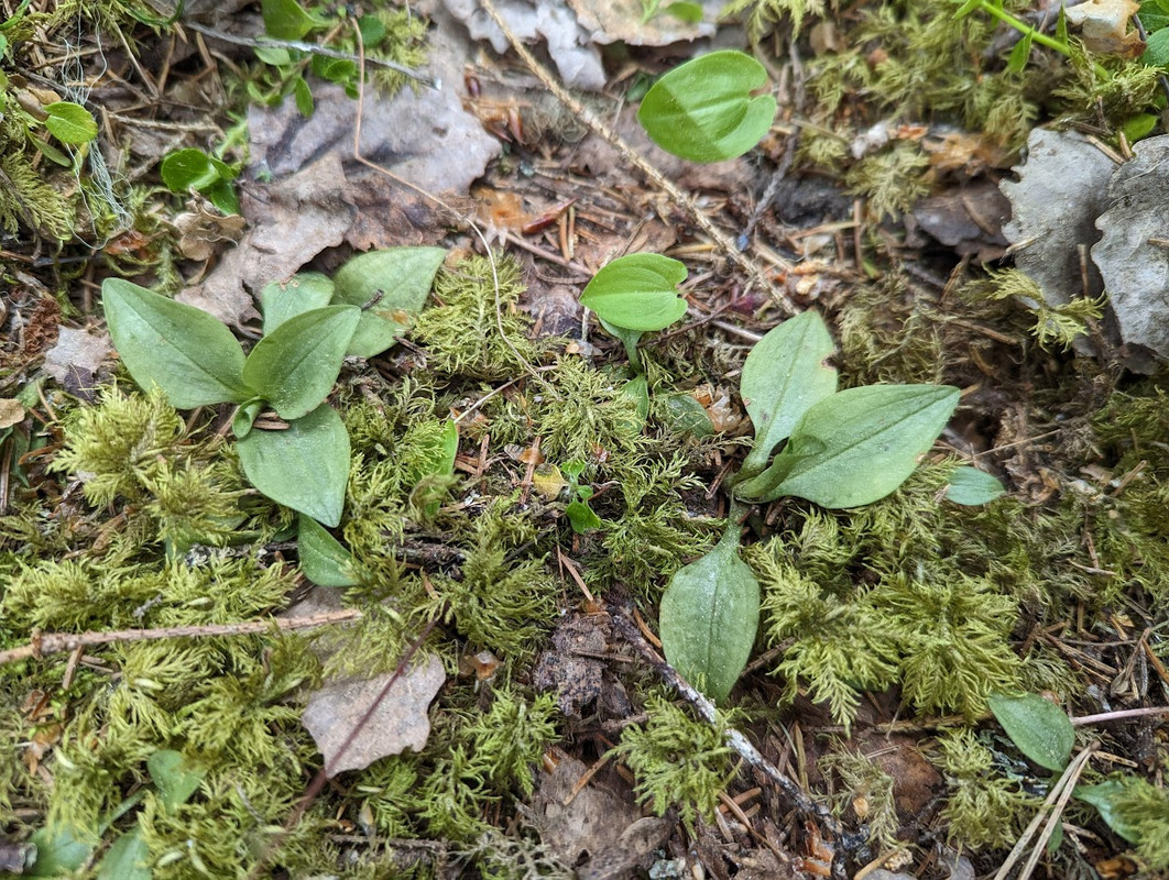 PXL_20230603_121758001