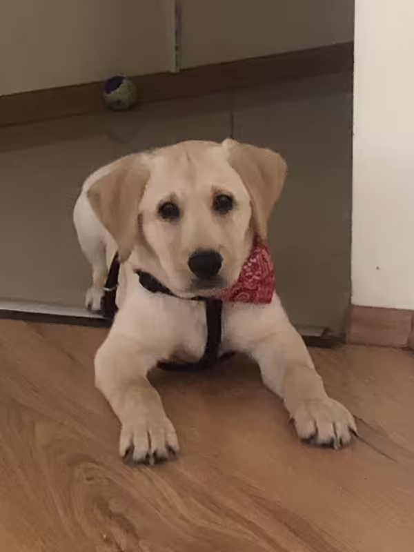 974B8CA2-E8B8-43F9-92CF-35E3AB0B4A7D