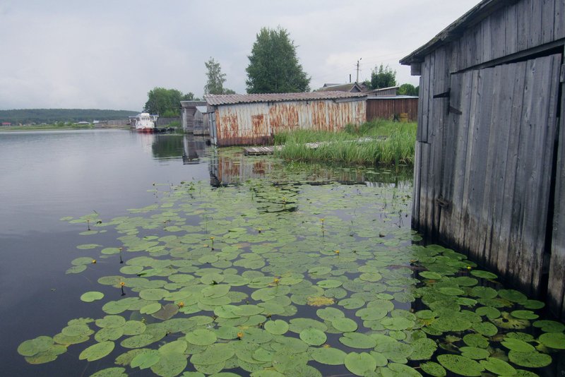 IMG-7183.jpg