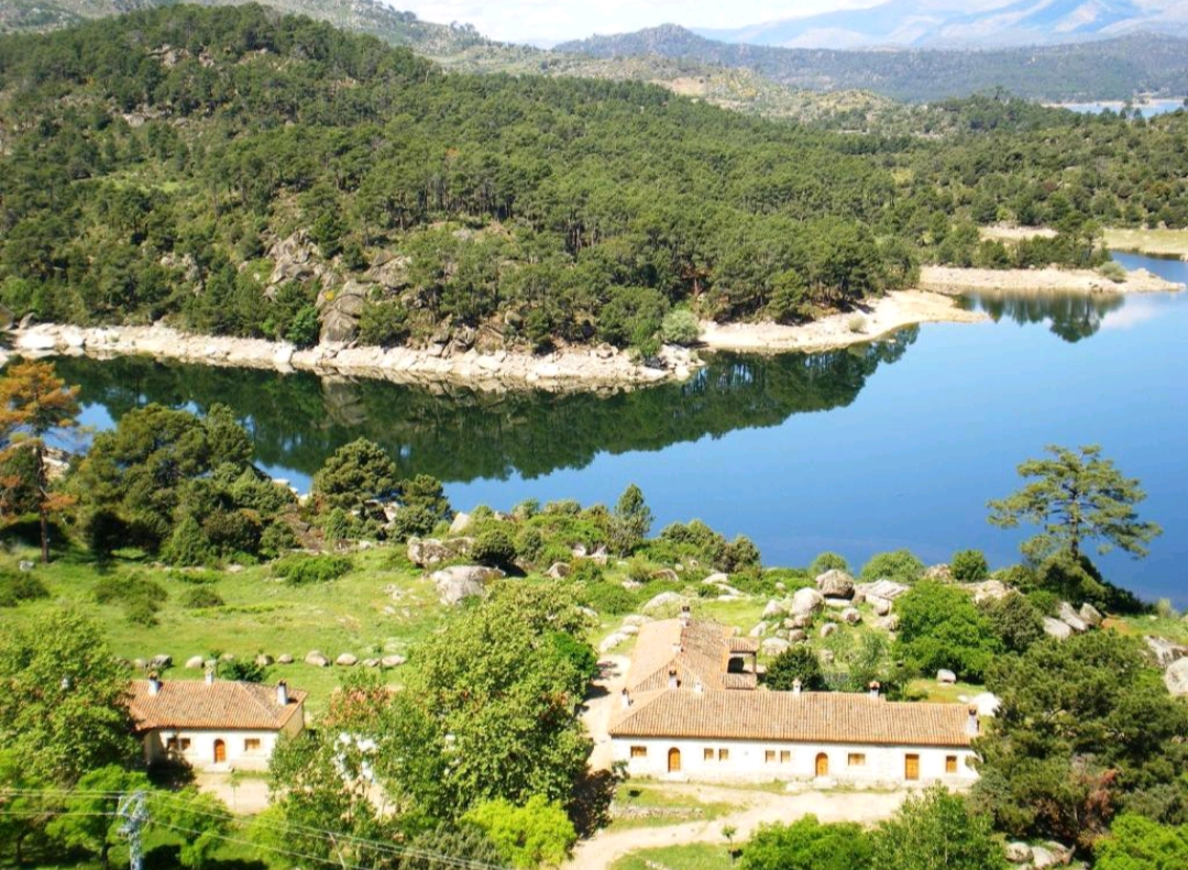 Screenshot_2022-06-05-11-37-11-49_5118055fcf8c120a411183afa705a454