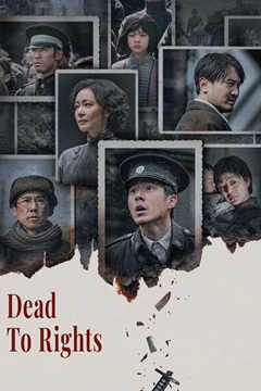 Dead To Rights 2025 CHINESE 720p WEBRip x264-TFPDL