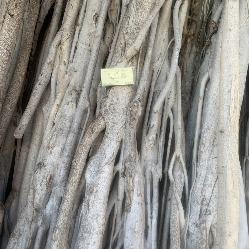 33CA0A11-034D-4D0E-AC94-1885041C8CCC