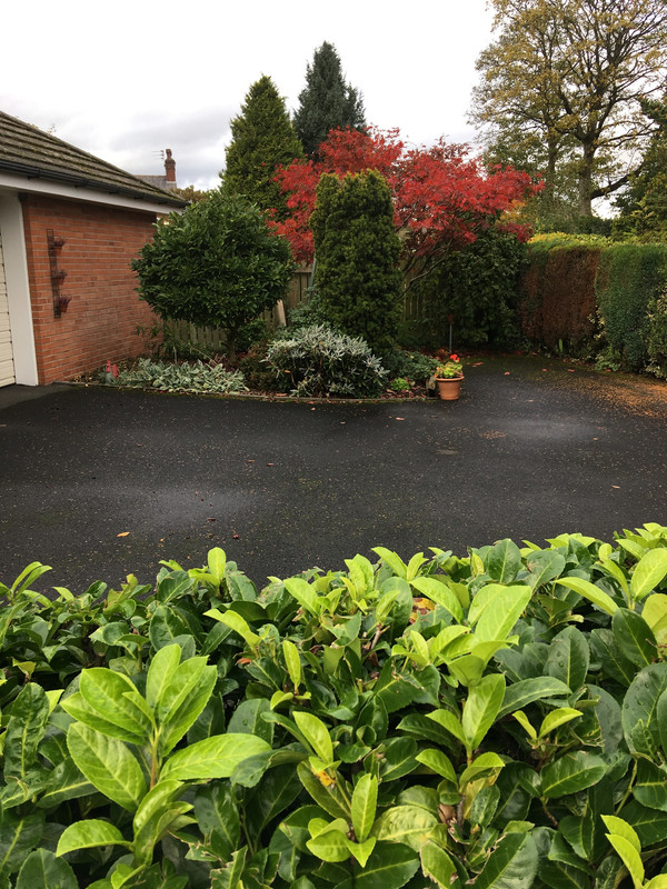 0F750BB0-1C95-4A0A-A845-EDB488805805