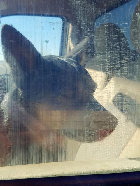 [Image: 04-Bear.jpg]