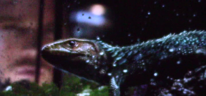 MURD3Rvlcsnap-2015-06-21-15h05m15s55