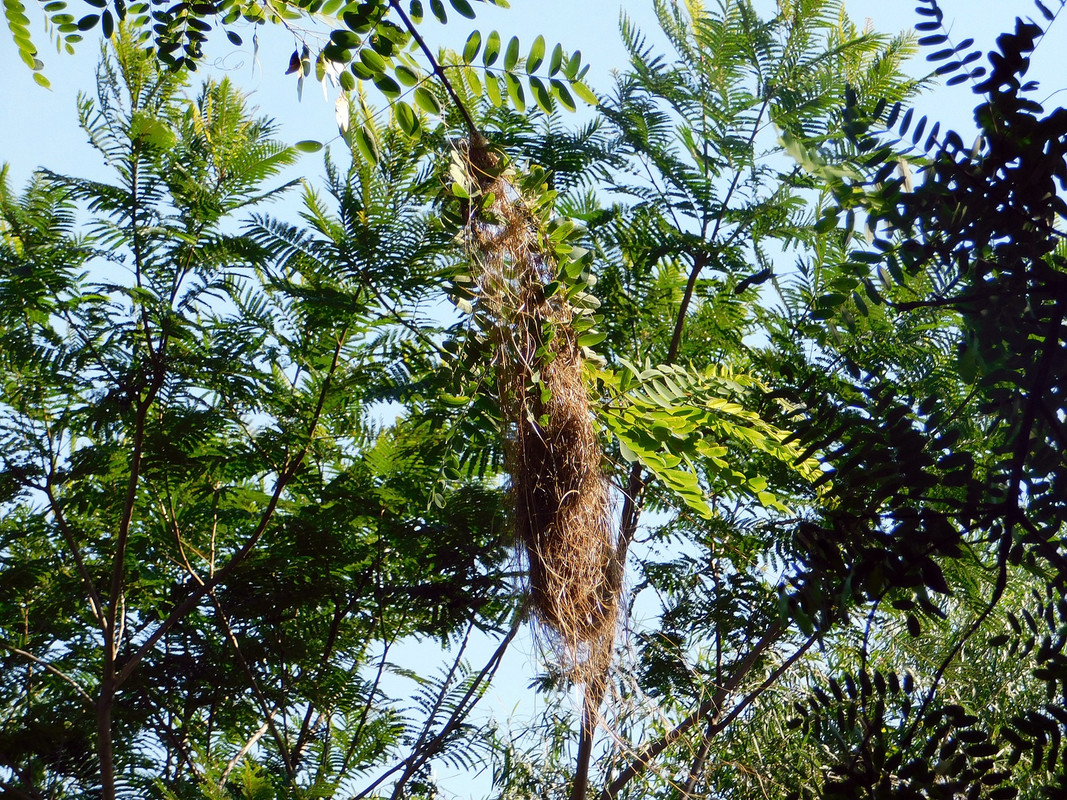 DSCN3230.jpg