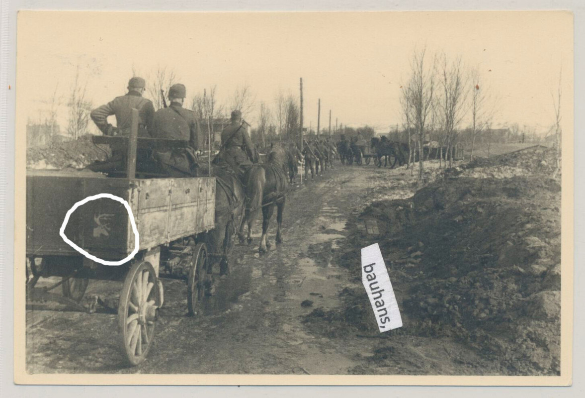 Foto aus Gebirgsjäger-Nachlass 2. Gebirgs-Jäger-Division