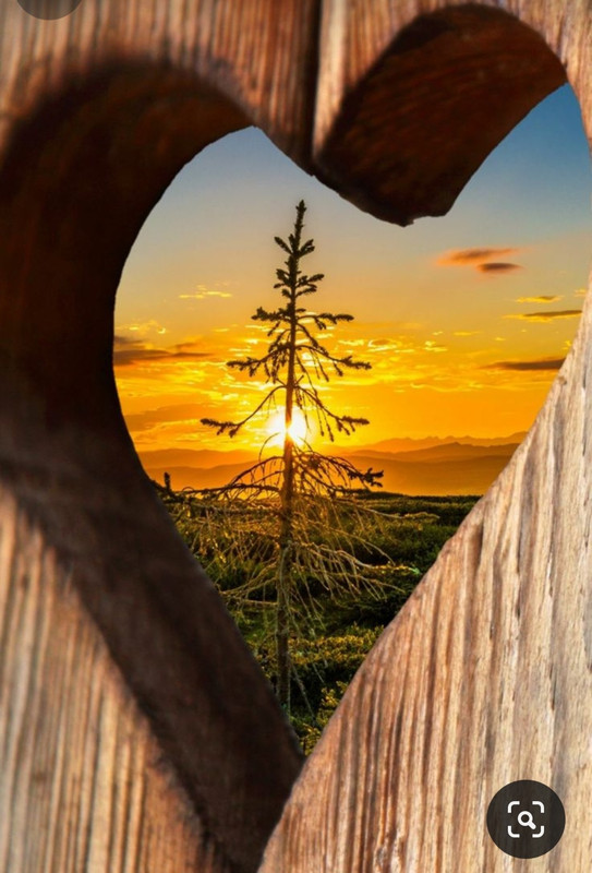 Screenshot_20240210_230305_Pinterest