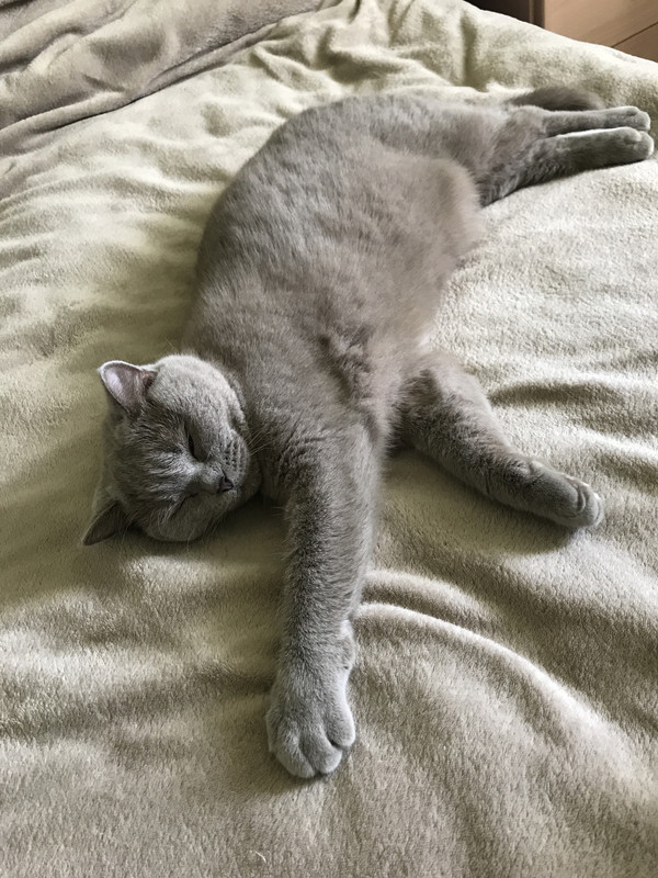 3503F7E1-1EEC-4E3B-9AF6-2C7C9B96D22E