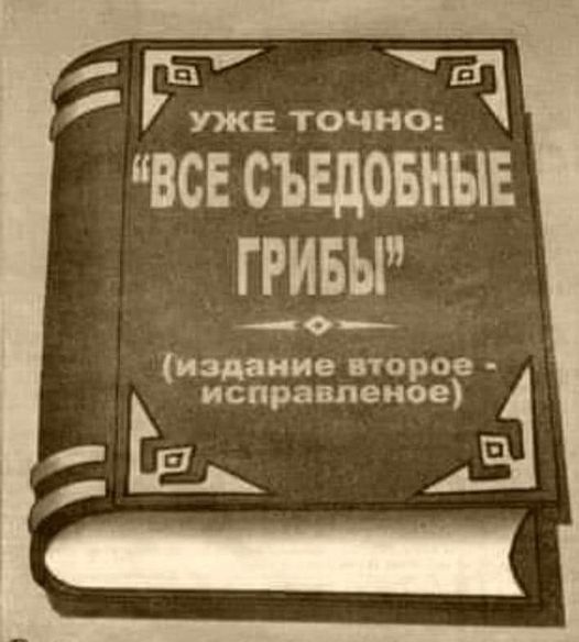 457256684-2933478830155191-4757771413941