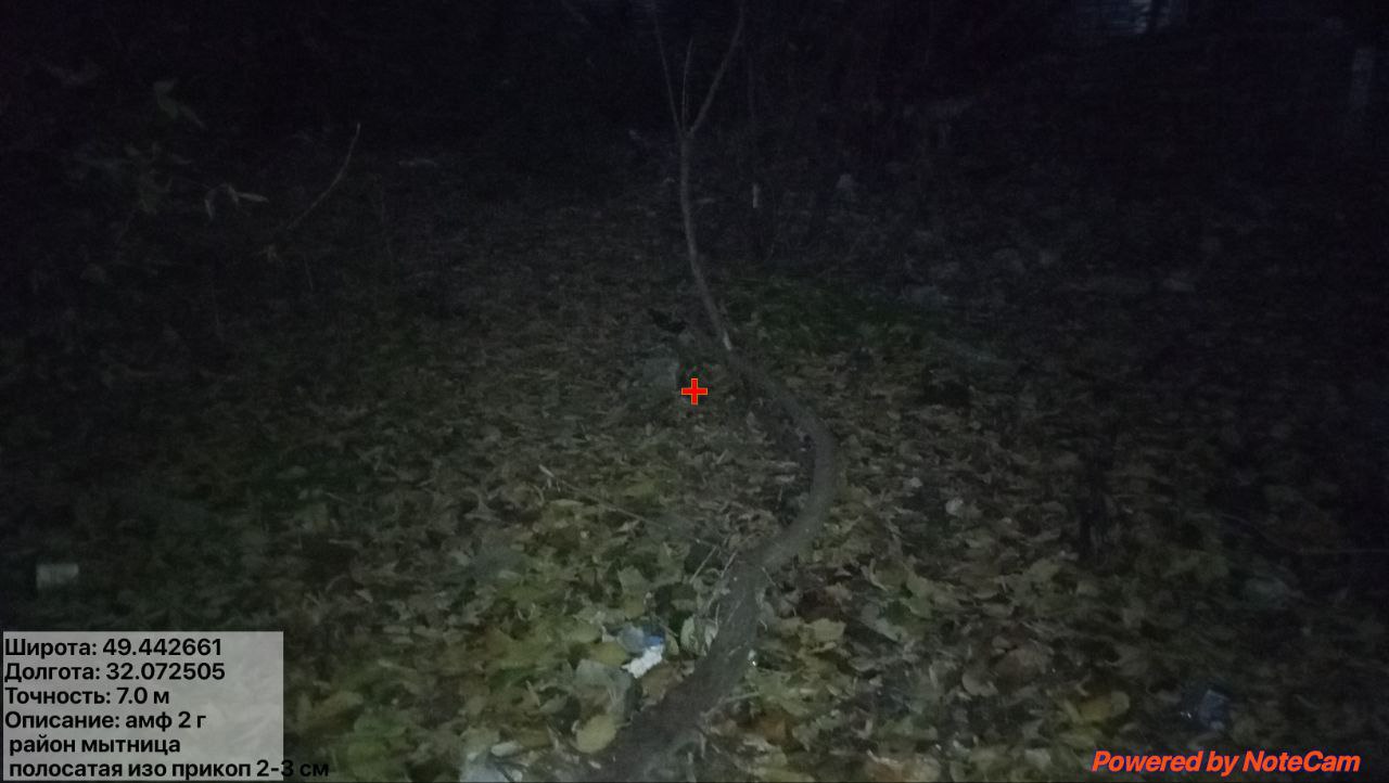 photo_2_2025-10-21_12-47-20