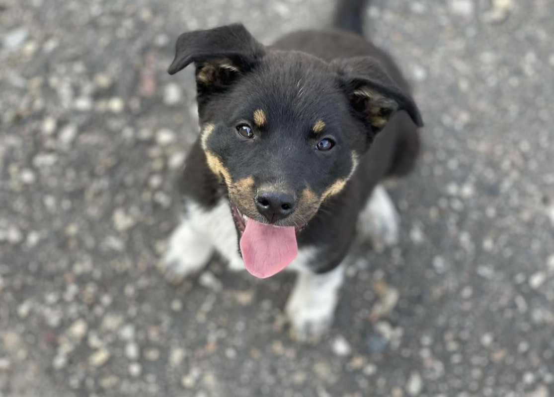 2E9F69BB-63D2-4415-A8F3-BCBF80551812