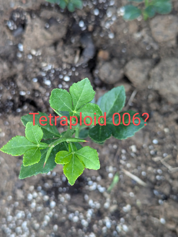 PXL_20240620_232034124~2