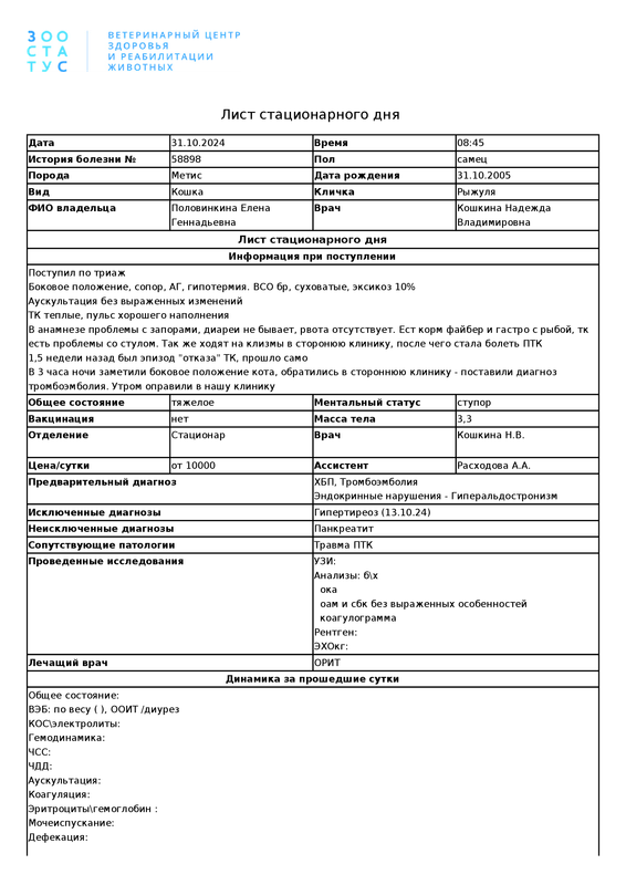 List_stacionarnogo_dnya_1730838245