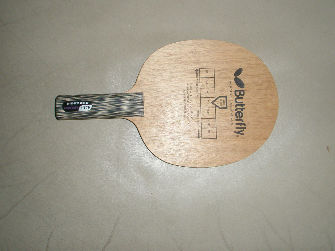 P5300002