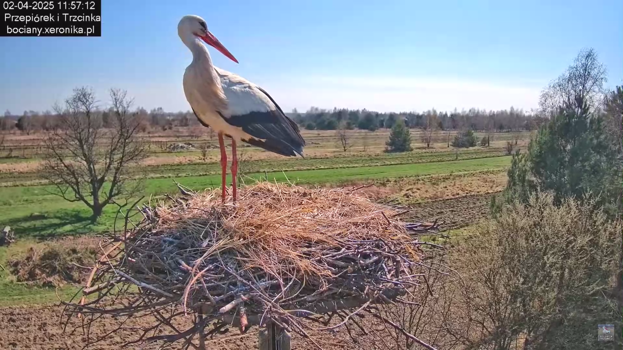 02042025krotkawizytabocka_23