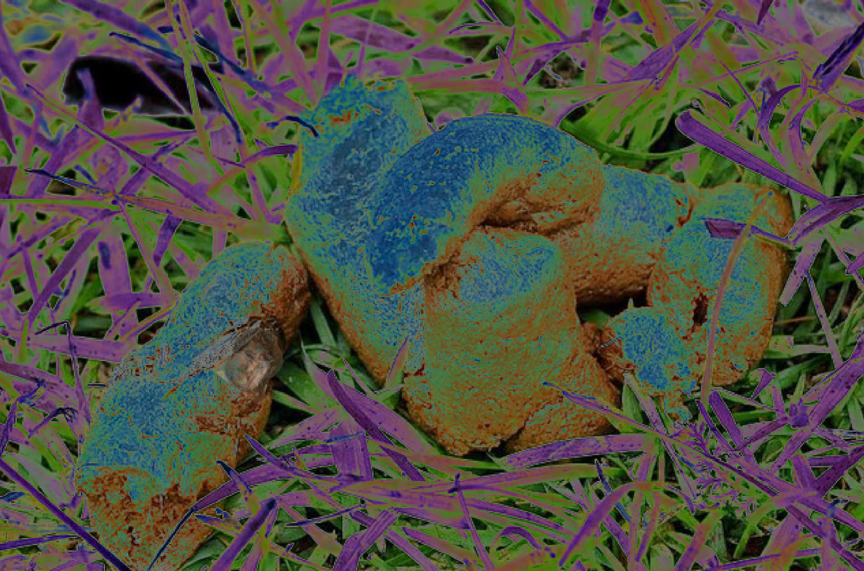 image-2024-03-21-213759944.png
