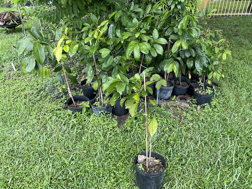 AC8E2575-4499-4595-9EFD-10140DEE8833