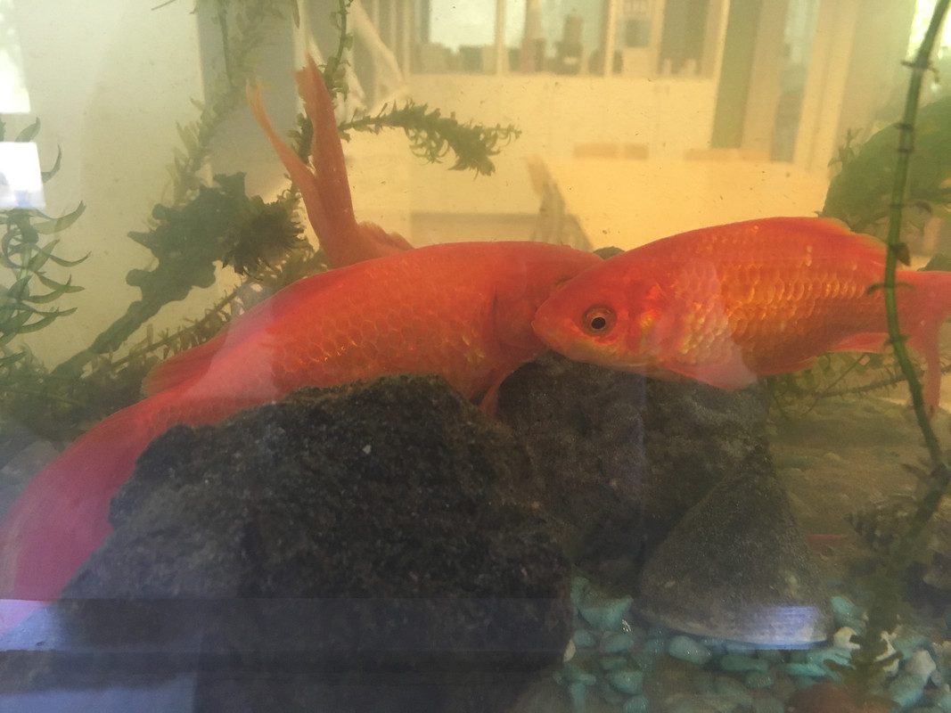 1BA94F36-EA7D-4AF8-8FB2-A194C3C784C4