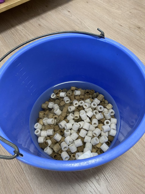 897D0599-1AB7-4199-95EE-A99D7EC59ECC